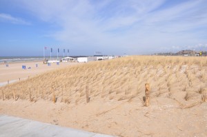 Sand dunes at Katwijk